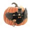 Bethany Lowe 12.25 In Cawing Pumpkin Halloween Figurine , Portable Halloween Decor Bird Mouse Pocket Watch